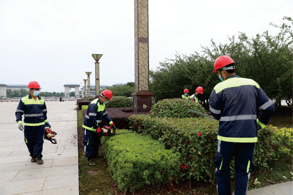 城市公園綠化管理 城市公園綠化管理