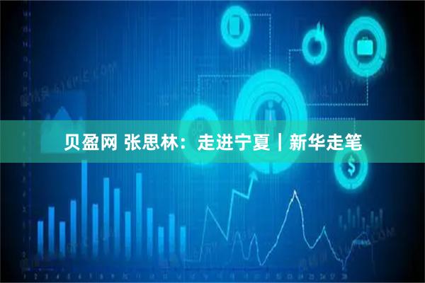 贝盈网 张思林：走进宁夏｜新华走笔