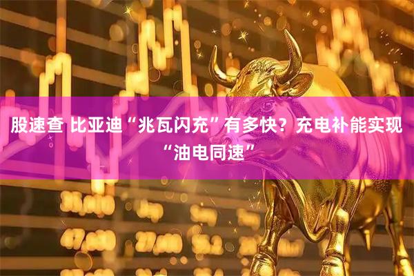 股速查 比亚迪“兆瓦闪充”有多快？充电补能实现“油电同速”