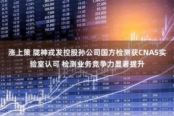 涨上策 陇神戎发控股孙公司国方检测获CNAS实验室认可 检测业务竞争力显著提升
