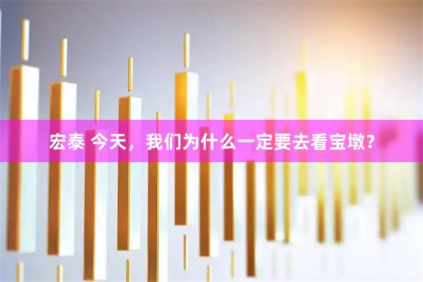 宏泰 今天，我们为什么一定要去看宝墩？