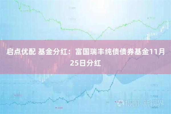 启点优配 基金分红：富国瑞丰纯债债券基金11月25日分红